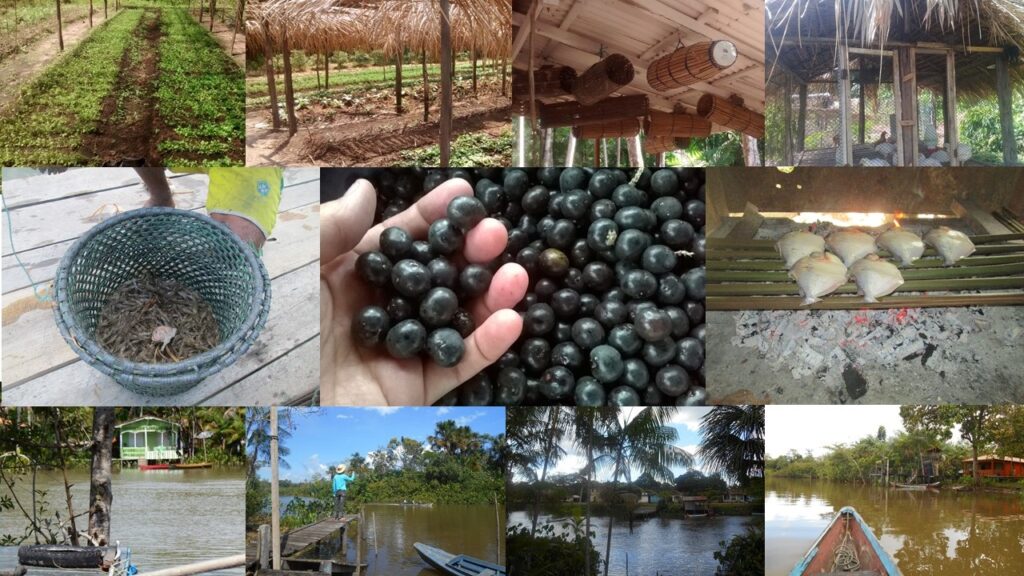 Diversidade Socioagroambiental do campesinato do Baixo Tocantins- PA