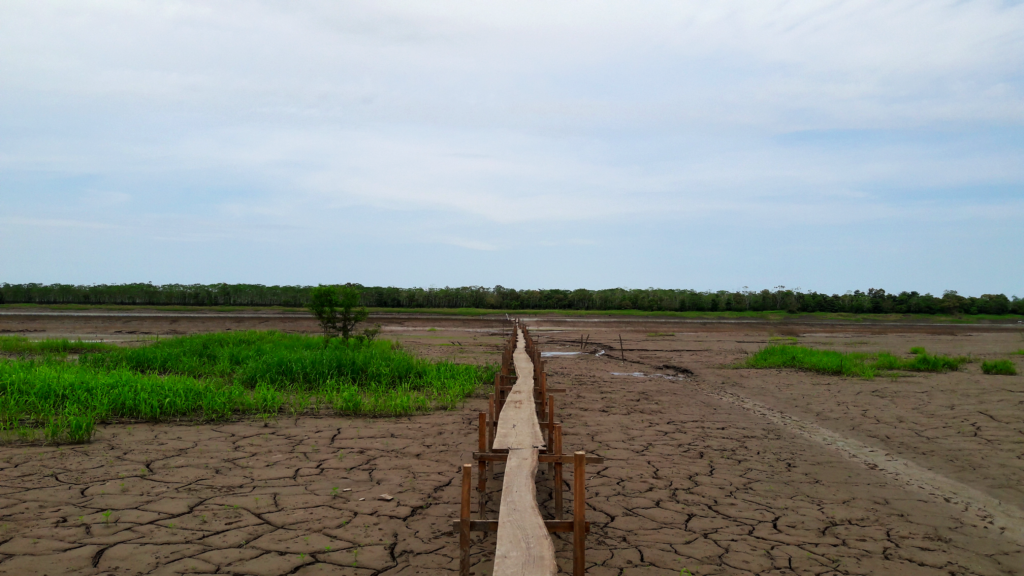Falta água (potável) no meio da Amazônia