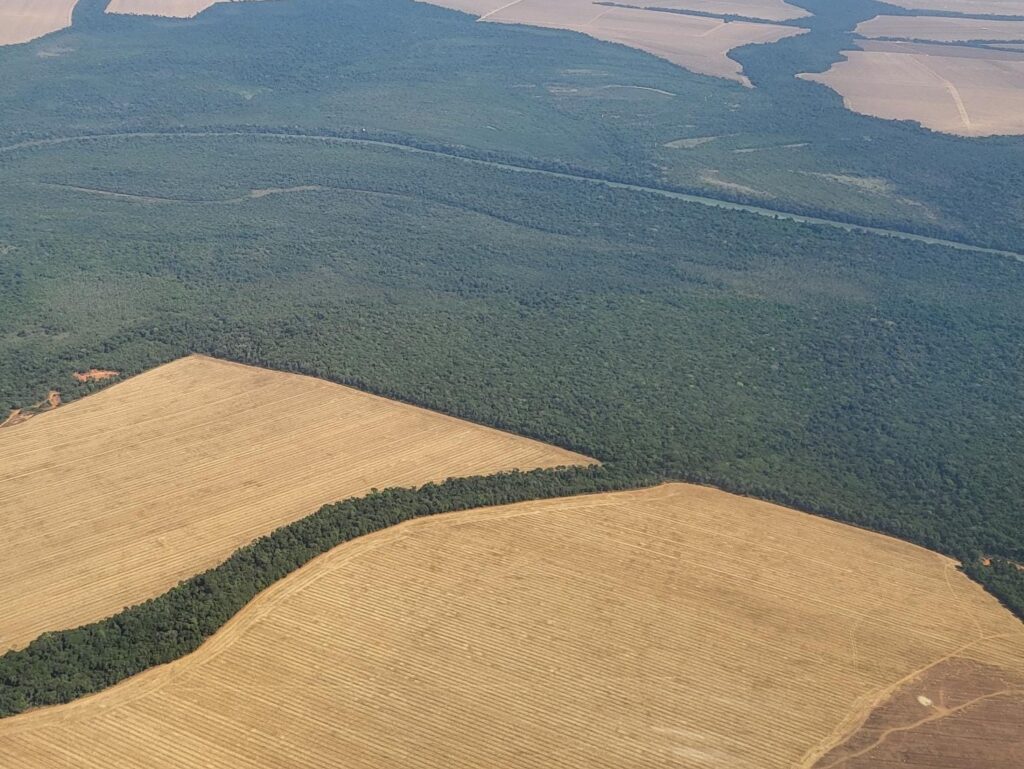 O uso de inteligência artificial pode tornar a priorização de áreas para combater o desmatamento na Amazônia mais eficaz