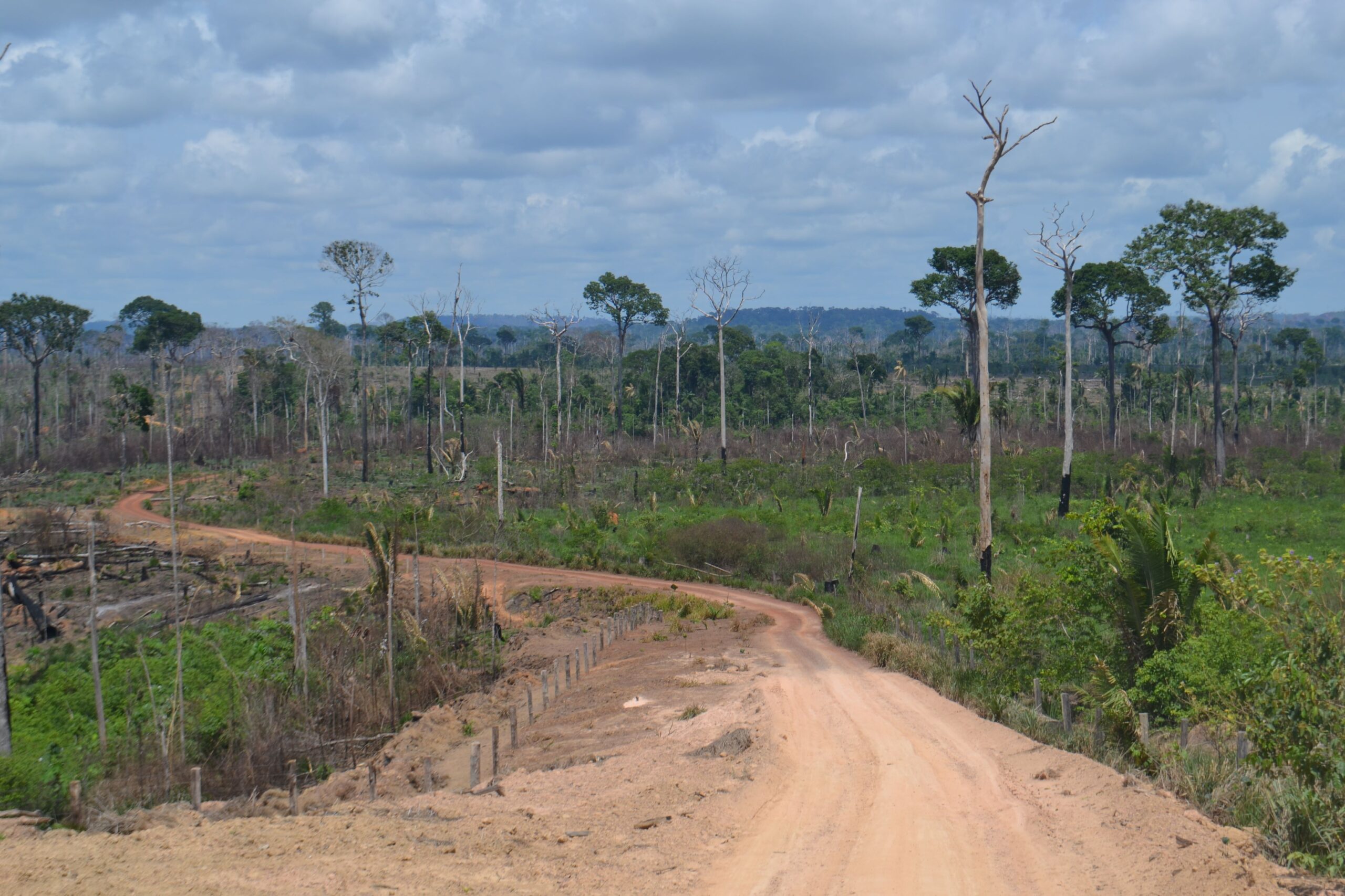 A imagem mostra uma paisagem com chão batido e com vegetração degradada, com árvores esparsas e vegetação baixa.